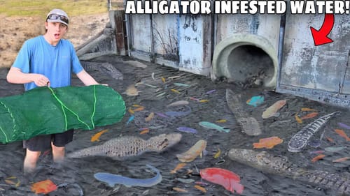 Trapping MONSTER Aquarium Fish in DEADLY WATERS!