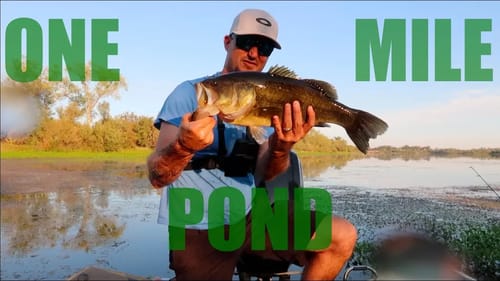 Bass Fishing The Oroville Wild Life Area.