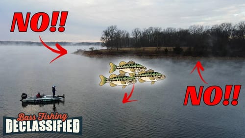 Common Jerkbait Fishing Mistakes That Cost You Bass
