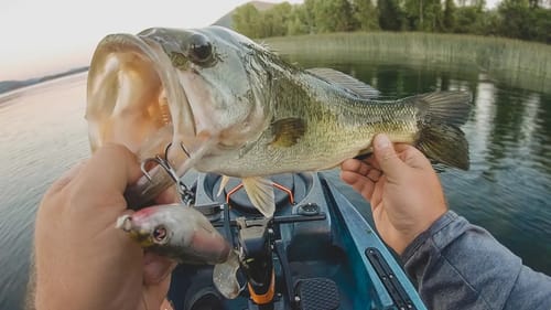 Early Summer Whopper Plopper Fishing From The Kayak