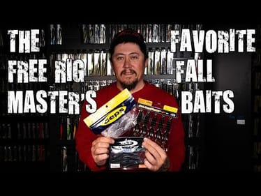Griff's Guide To Fall Free Rig Baits!