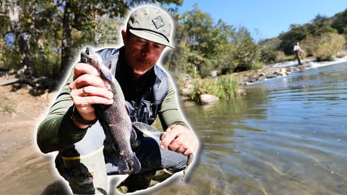 How to Catch Clean & Cook River Trout by Campfire