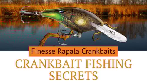 Finesse Crankbait Fishing : Catch Clear Water Bass