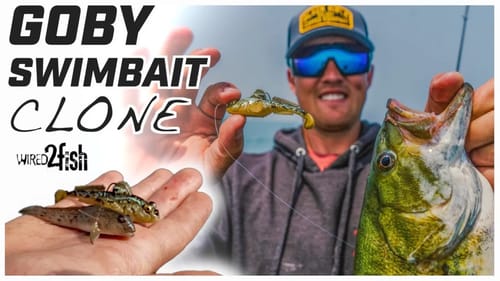 How to Fish Goby Swimbaits for Smallmouth Bass
