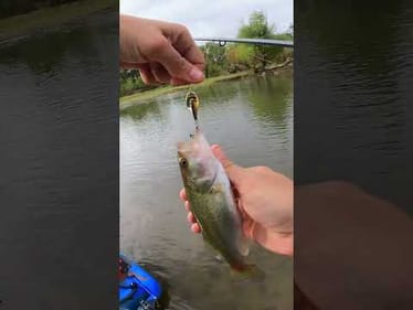BFS Fishing down a Texas River on my Kayak  #fishing