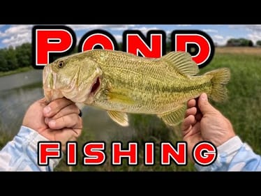 Tips To Catch More Fish While Pond Fishing!