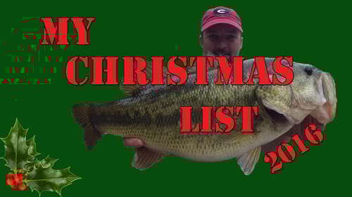 These are a Few of My Favorite Things - The Annual Christmas List