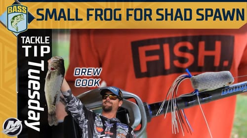 Mimicking Small Baitfish with Tiny Topwaters during Shad Spawn