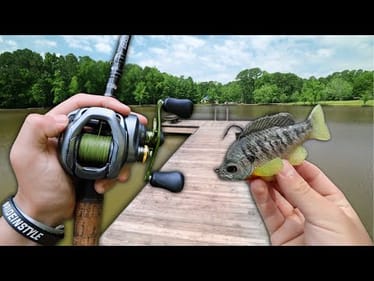 Fishing For GIANT BASS In Small Ponds! (Bank Fishing)