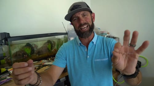 Ike In The Shop: Mike Iaconelli's Twist On The Drop Shot Rig
