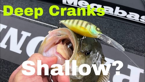 My Long-Held/Secret June Deep Diving Crankbait Method