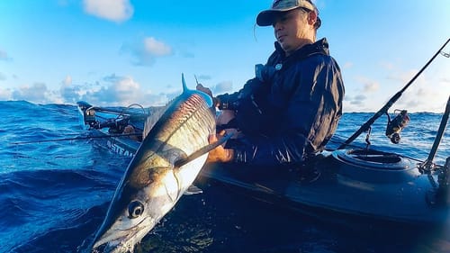 Lots of fish but a day too early😅 - Adder Rock Kayak Fishing Challenge Fishing Tournament