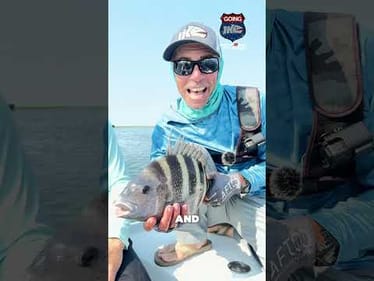 🔥South Jersey’s Toughest Fish💪🏻 #insomniac