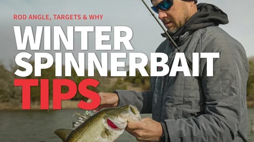 Winter SPINNERBAIT Tips (Rod Angle, Targets & Why the Spinnerbait)