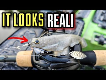 THIS Swimbait is BETTER Than Live Bait!