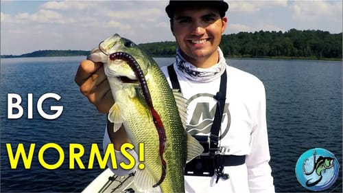 Big Worms for Deep Fall Bass in Brush Piles!
