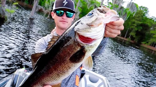50 Fish Catches in 25 Minutes