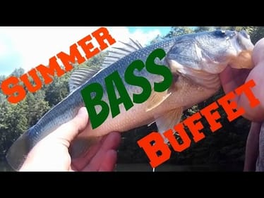Hair Jigs, Flutter Spoons, Swimbaits, OH My! Summer Bass Fishing!