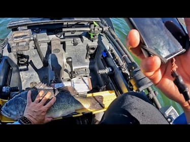 Back at the #1 Bass Fishery (according to Bassmaster)