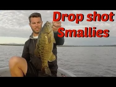 Lake Champlain Smallmouth on the Drop Shot