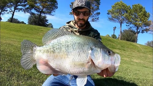Fishing for MONSTER SPRING CRAPPIE!!