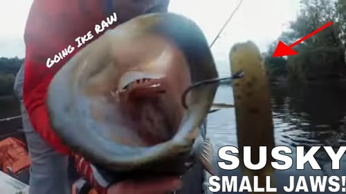 Susquehanna River SMALLMOUTH BASS FISHING!