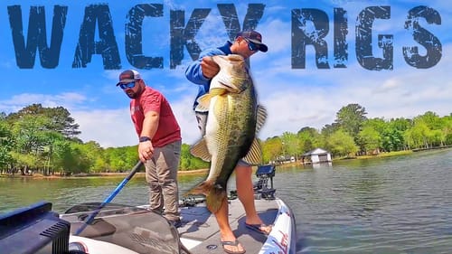 Catching LOADS Of BASS On WACKY RIGS!! (WACKY RIG FISHING TIPS)