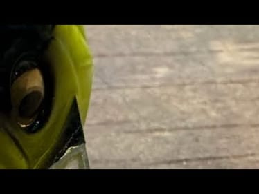 The Lure That Has Produced Hundreds Of Four Pound Bass For Me In May…