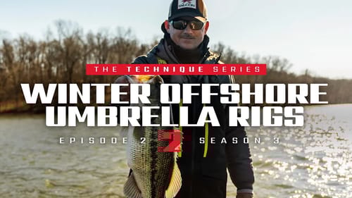 Offshore Umbrella Rigs (Target BIGGER BASS this WINTER!)