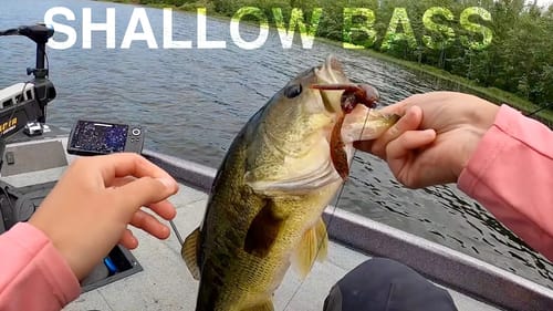 Flipping for Shallow Water Bass - They are FEEDING UP!