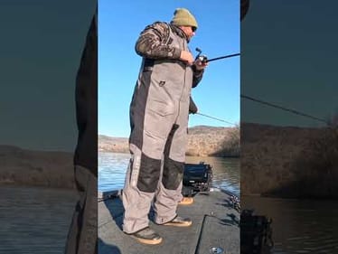 The Most Consistent Bait For Winter Bites! 😎