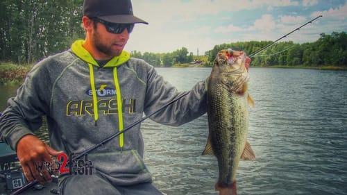 How and Why to Fish a Storm Wiggle Wart