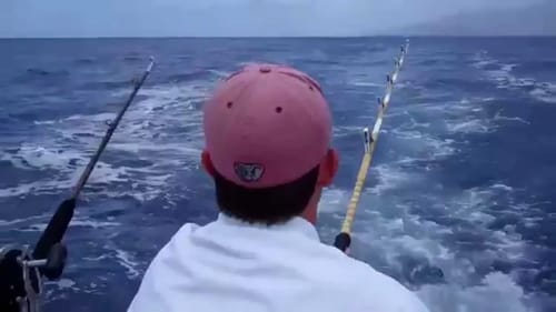 Maui Deep Sea Fishing. Catching a few Mahi Mahi's.
