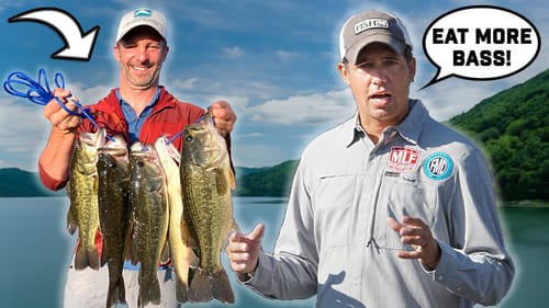Should Fishermen Be EATING More Bass? (Biologist Explains)