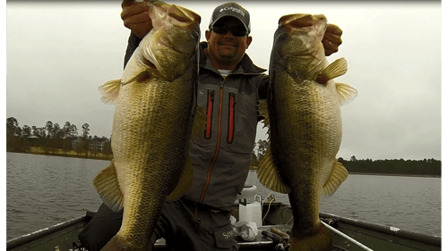 Two Big Bass Caught on the Same Cast! Alabama Rig Double - GoPro Bass Fishing.