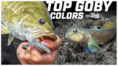 Best Z-Man Colors for Smallmouth on Goby Fisheries