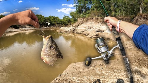 Catching GIANT MEAT EATING River Monsters! (3 Days On The River)
