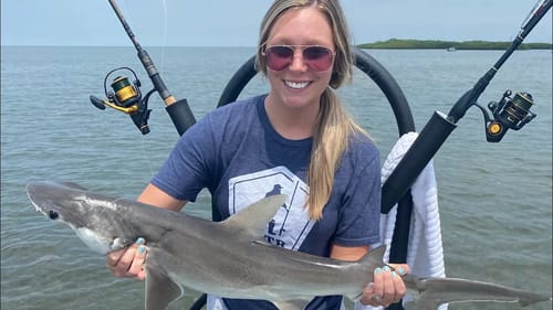 Codi Catches A SHARK In The HOMOSASSA, FL Mangroves! (Saltwater Fishing)