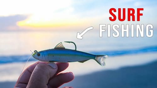 Surf Fishing Ultra Clear Water For Big Fish