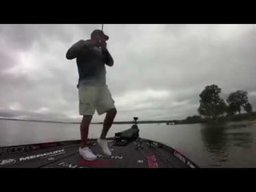 What a bite!!! | Jason Christie