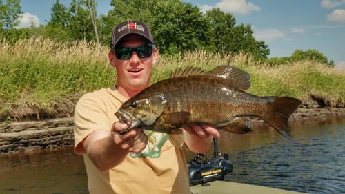 The Most Dominant Finesse Bass Rig I've Ever Used
