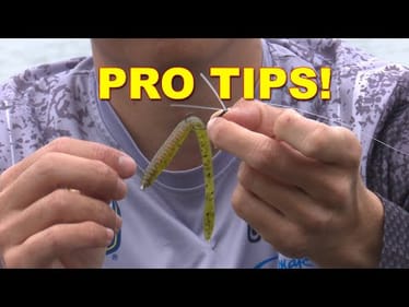 How to Fish a Neko Rig Like an Elite Pro | Summer Bass Fishing Tips | Bass Fishing