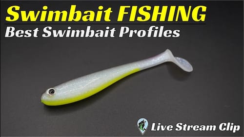 How to Choose The Correct Swimbait Profile | FTM Live Stream #74