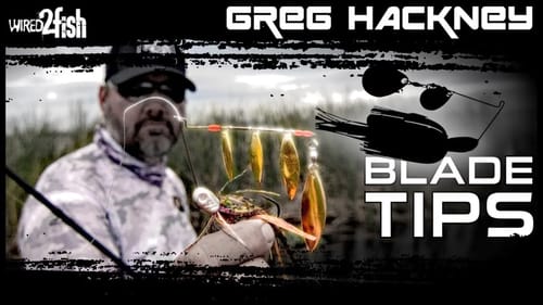 8 Spinnerbait Bass Fishing Tips with Greg Hackney