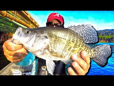This Bait Is Absolutely Irresistible To Crappie! (Catch Loads)
