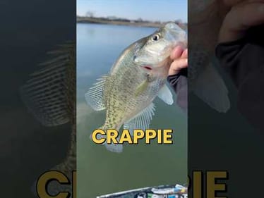 3 Tips for Catching Crappie In Winter #fishing
