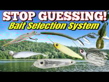 Stop Guessing: How to Choose the Perfect Bait for Every Condition