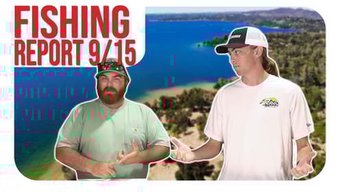 Fishing Report 9/15! (w/ Austin Wilson)