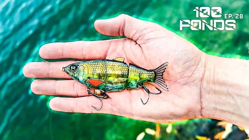 Will A REALISTIC Bluegill Swimbait Catch Fish? (100 Ponds Ep. 28)
