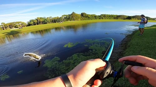 Giant Fish Found Exploring NEW Fishing Spots (Big Bass Fishing)